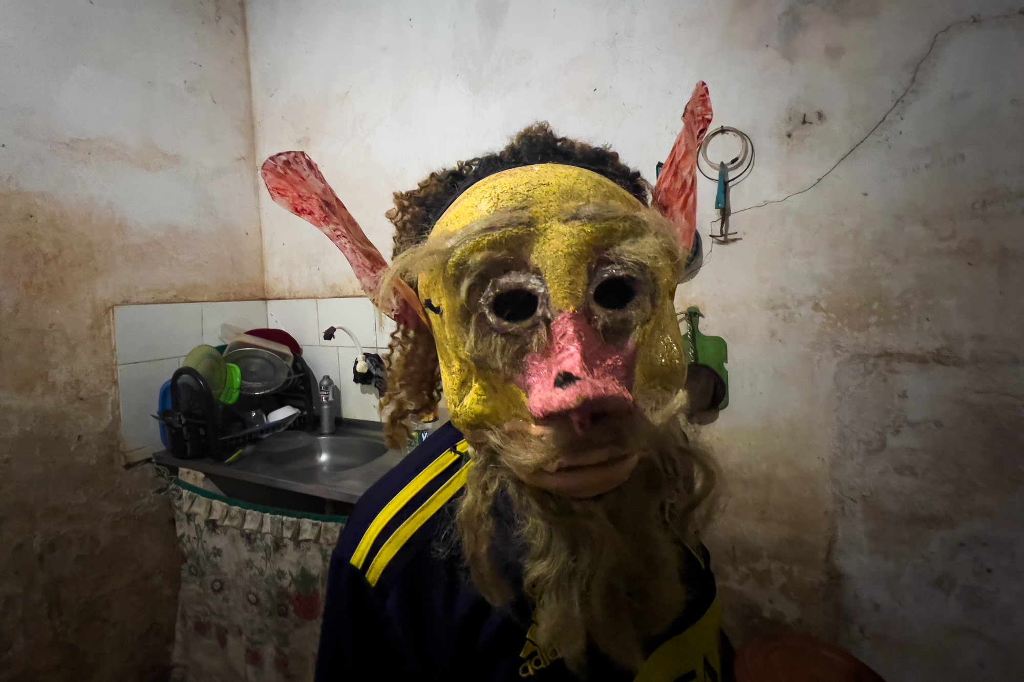 As mascaras de Zamir II, Matinha